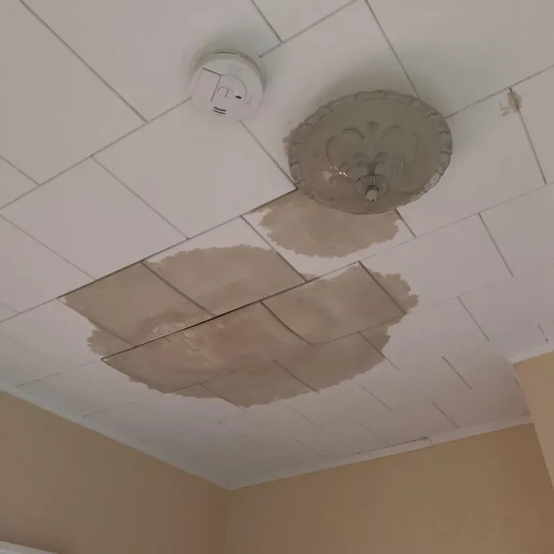 Ceiling Water Damage Repair in Brandon, VT