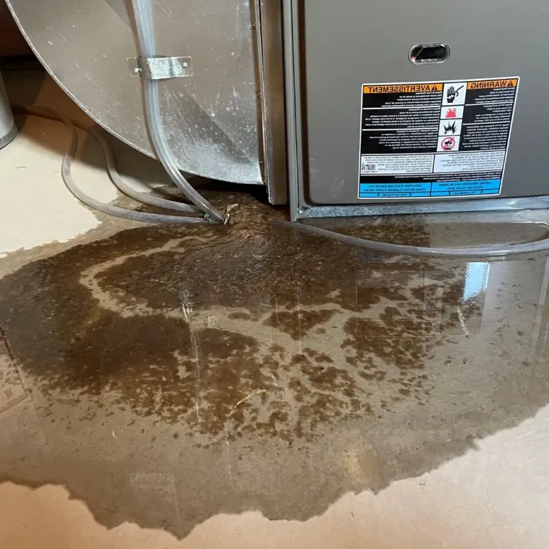 Pipe Burst and Leak Restoration in Brandon, VT
