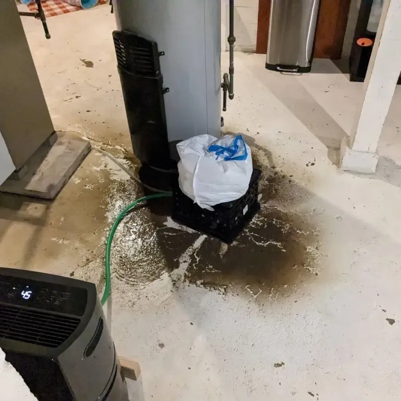 Sewage Backup Cleanup Service in Brandon, VT